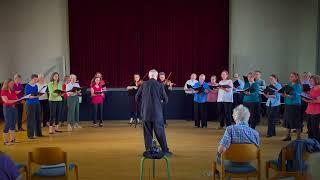 Christian Bährens (arr.): Hjärtats Skär - Like a plant on rocky isle (choir & 2 violins)