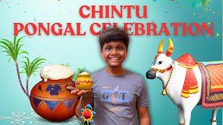 Chintu Pongal celebration | Comedy | Velujazz