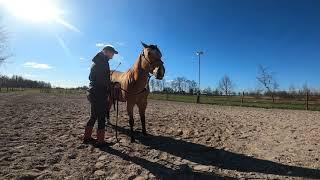 Fryske Cowgirl grondwerk les 3 (met paarden)