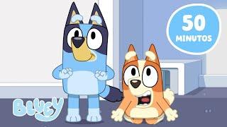  AO VIVO: Dias com Bluey e a Família  | Diversão com Bluey e Bingo