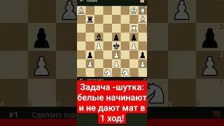 Задача-шутка: белые начинают и не дают мат в 1 ход!