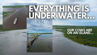 Excessive rain & major flooding in Southwest Minnesota | Day in the life of a 27 year old farmer