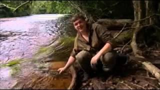 Ray Mears' Bushcraft S01E02 - Jungle Camp