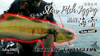 【FishingShare】SLOW PITCH JIGGING挑战海雷！ft. EXTREME ANGLERS|海钓系列|COBIA FISHING WITH SLOW PITCH JIGGING