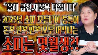 태어날때부터 돈복을 가지고 태어난 소띠는 몇월생?! / 2025년 을사년 소띠운세 대박난다! 소띠에게 생길 큰 변화들 [49년생 61년생 73년생 85년생 97년생 소띠운세]