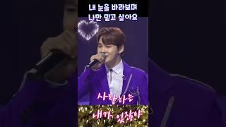 내 눈을 바라보고 살아요 ▶️ #박서진 #현역가왕 #한일톱텐쇼 #콘서트