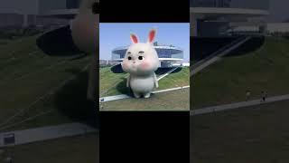 rabbit#tiktok #tiktoktrungquốc #lucuabis #cute #lucuviral #lucungakak #animasulucu