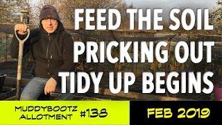 MuddyBootz Allotment #138 - Feed The Soil - Pricking Out Seedlings