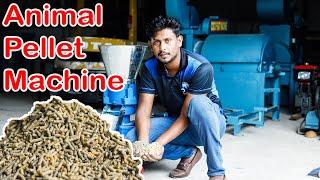 Animal Feed Pellet Machine | කුකුල්ලුන්ට හා වෙනත් සතුන්ට පෙති නිශ්පාදනය කරන යන්ත්‍රය