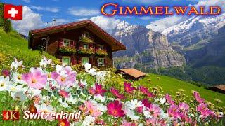 Gimmelwald – A Hidden Paradise In The Swiss Alps (4k Walking Tour – 2024)