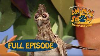 Animal Show | Marine Iguana  / Roadrunner | Jim Henson Family Hub