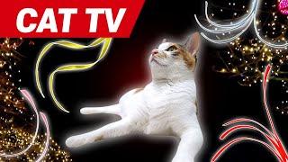 Games for Cats [4 HOURS] - Super Fun Games for your Cat [CAT TV]