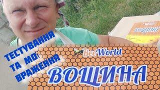 Бджола тестує вощину BeeWorld