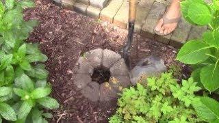 Puppy Poop Hole Disposal Pit, Best Way to Dispose of Dog Pet Waste in Yard Cleanly