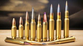 Best Long Range Calibers in 2024 [We've Tested Them All]