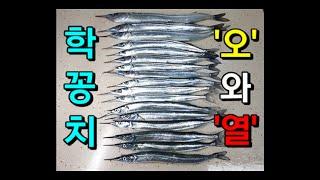 학꽁치 낚시-한번도 안해본 사람은 있지만, 한번만 해본 사람은 없는 즐거운 낚시!! Catch the spipefish in Korea