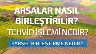 ARSALAR NASIL BİRLEŞTİRİLİR? TEVHİD İşlemi Nedir? Parsel Birleştirme Nedir?