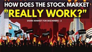 How knowledge on the STOCK MARKET WORKING Made Me A Better Trader! | Stock Market for Beginners |