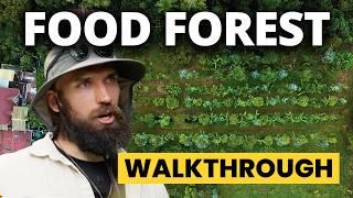 4 year old Food Forest Tour (NZ / Syntropic Agroforestry)