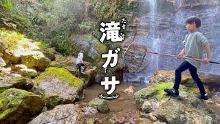 和歌山県遠征！見たことがない生き物たちが大量に・・・