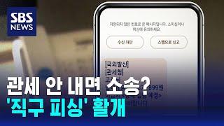 관세 안 내면 소송?…'해외직구' 피싱 활개 / SBS