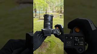 Hasselblad X2D 100C: See How 100MP Captures Nature's True Colors