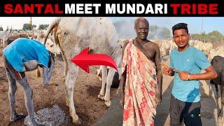 SANTAL MEET WITH MUNDARI TRIBE IN AFRICA #labahansda