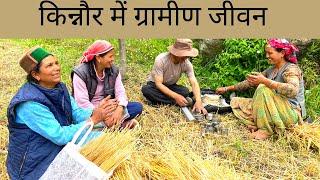 Eco-friendly Village Life in Kinnaur Himachal | हिमाचल के किन्नौर में ग्रामीण जीवन । The Young Monk|