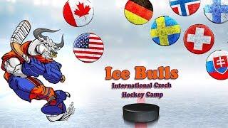 Hockey Camp Ice Bulls - We prepare the champions!