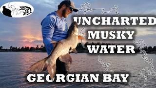 Unlocking Uncharted Waters: A Georgian Bay Musky Fishing Adventure