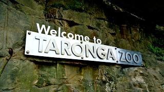 Taronga Zoo Sydney