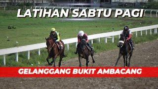 LATIHAN KUDA PACU ( SABTU 24 FEBRUARI 2024 ) - GELANGGANG BUKIT AMBACANG KOTA BUKITTINGGI