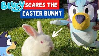  BLUEY Scares the Easter Bunny‼️ | Pretend Play with Bluey Toys | Disney Jr | ABC Kids