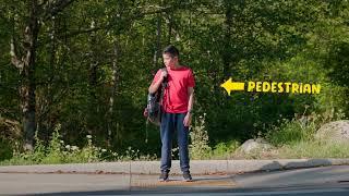 This is a Pedestrian