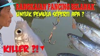 Rangkaian Pancing Belanak Killer Untuk Pemula Seperti Apa ??