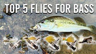 Secret to Bass Fly Fishing with These Five Flies