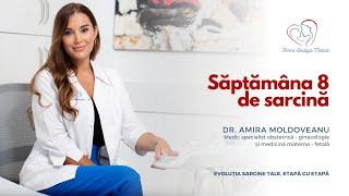 Săptămâna 8 de sarcină I Dr. Amira Moldoveanu I Femmeboutiquemedical.com