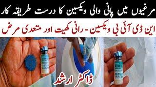 Chicken Live Vaccination | Chicken Farming with Dr Arshad | Pakistan Poultry Farming