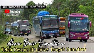 Central Cross Bus Hunting || The Enchantment of the Sumatran Bus is Full of Sensation