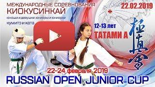 Russian Open Junior Cup (8-9, 10-11, 12-13 лет). Татами А