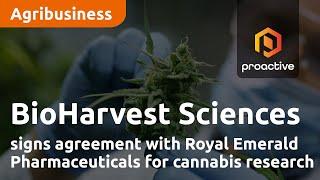 BioHarvest Sciences signs agreement with Royal Emerald Pharmaceuticals for cannabis research