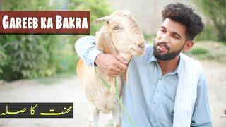 GARIB KA BAKRA | Eid Special | Heart Touching Story | Bwp Production