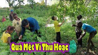 2Q càn quét vườn của Tony Phong|| 2Q Vlogs Cuộc Sống Châu Phi