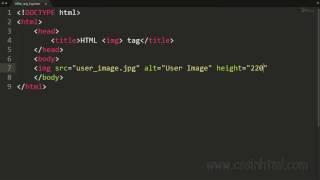 HTML img Tag