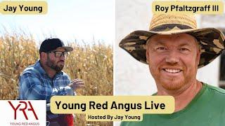 Young Red Angus Live With Roy Pfaltzgraff III(Finding New Markets and Raising New Crops)