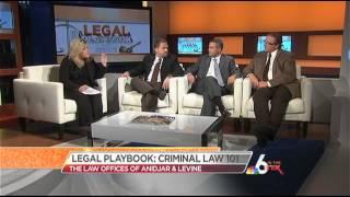 Anidjar & Levine- Legal counsel