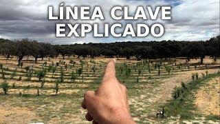 Linea Clave Explicado