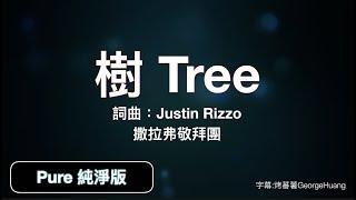 樹 Tree - (Pure 純淨版)