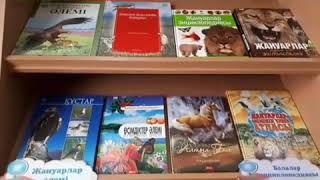 Презентация "Книжный мир для вас"