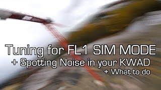 Tuning for Flightone Sim Mode + Spotting Noise in your Kwad  + Capacitors